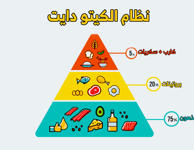 "نظام الكيتو دايت: الطريقة الفعالة لفقدان الوزن وتحسين صحتك"